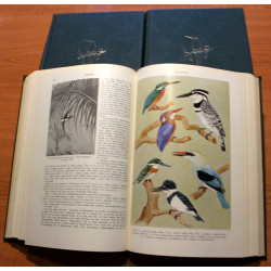 Dyrenes Verden. Fugle. 3 Bind