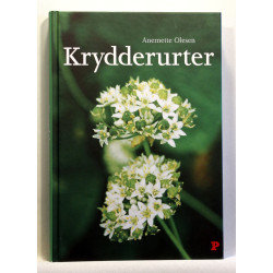 Krydderurter