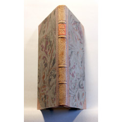 Statistiske Bidrag til Aalborg Stifts Historie i Slutningen af det 17de Aarhundrede