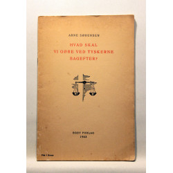 Hvad skal vi gøre ved Tyskerne bagefter?