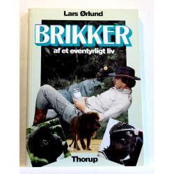 Brikker af et eventyrligt liv