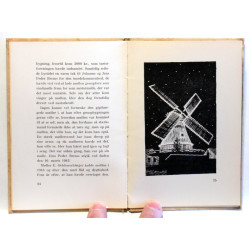 Møllen der blev Vejles vartegn