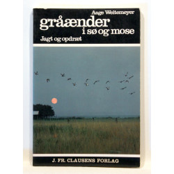 Gråænder i sø og mose