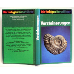 Versteinerungen