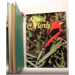 Song Birds