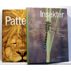 Insekter. Pattedyr