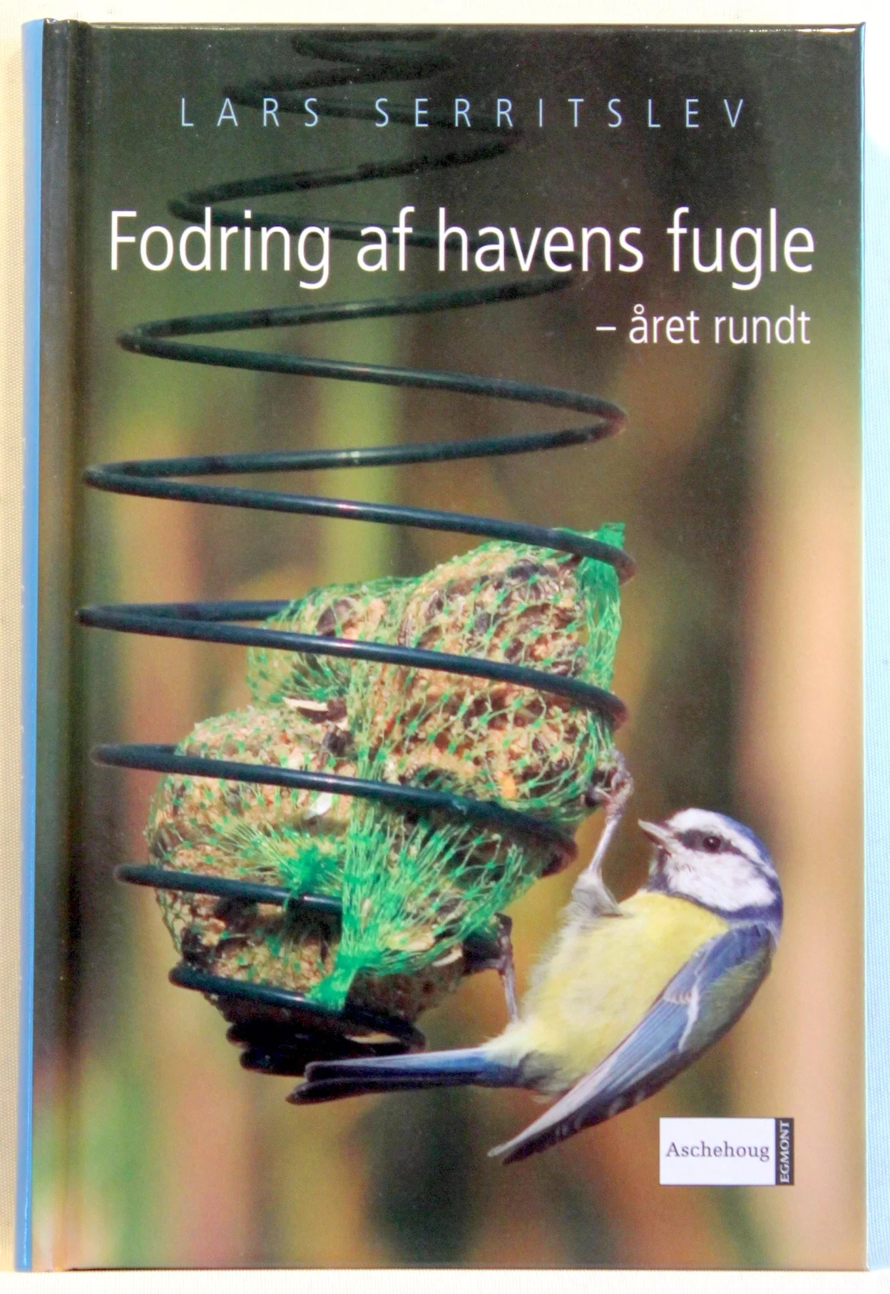 Fodring af havens fugle året rundt