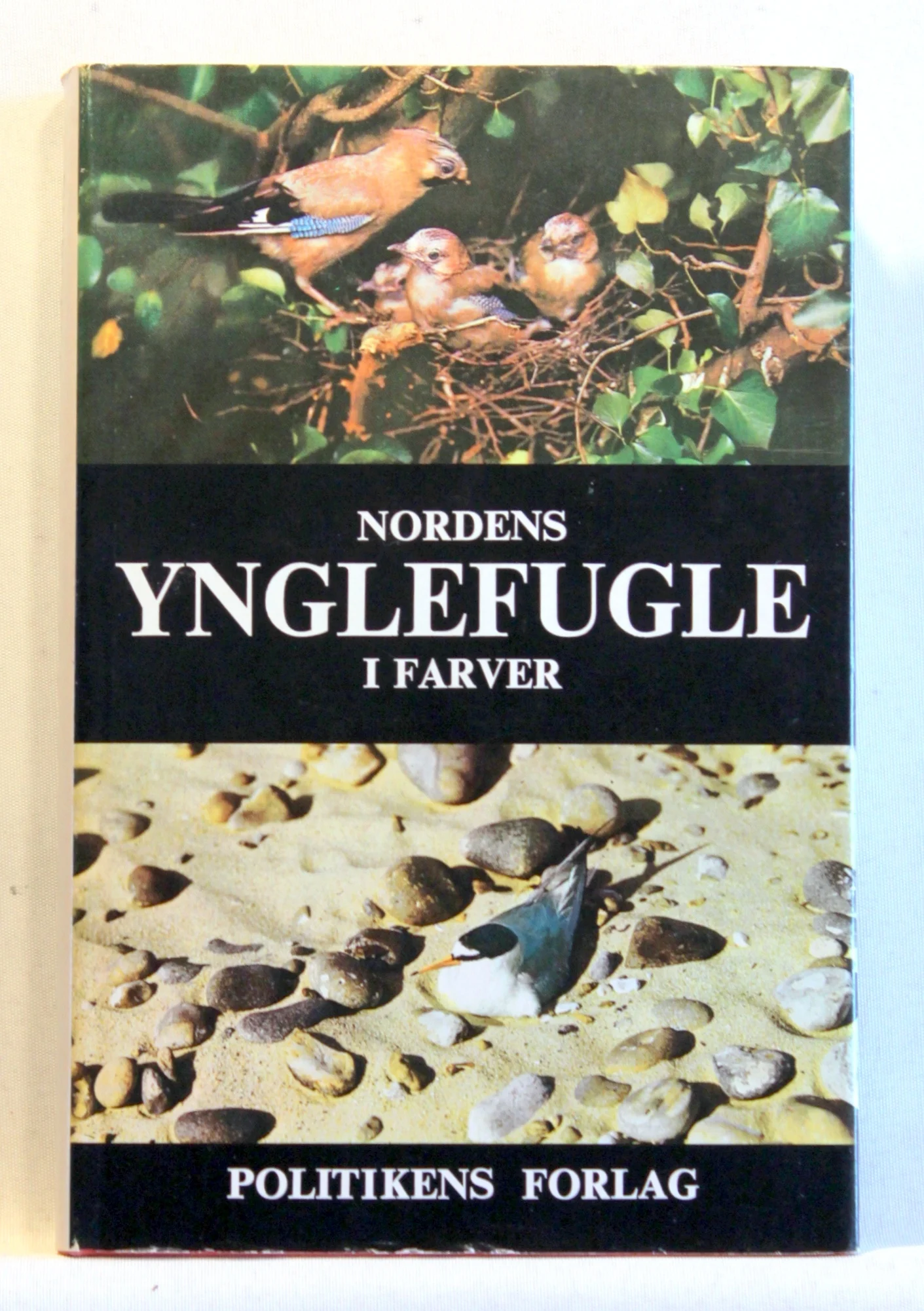 Nordens ynglefugle i farver