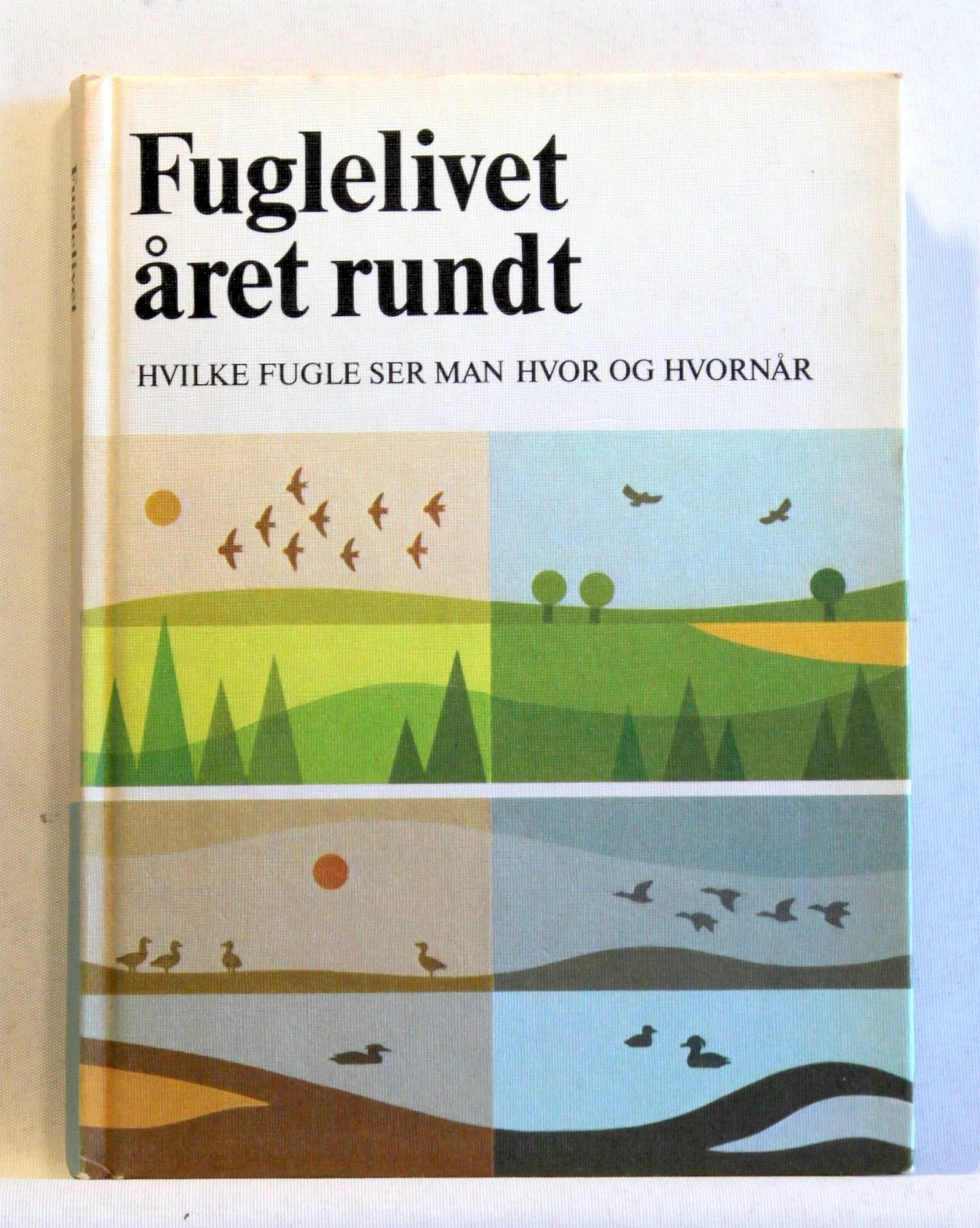 Fuglelivet året rundt