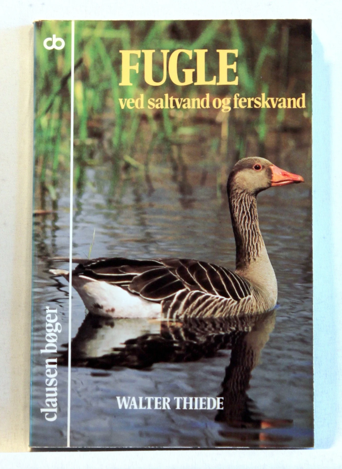 Fugle ved saltvand og ferskvand