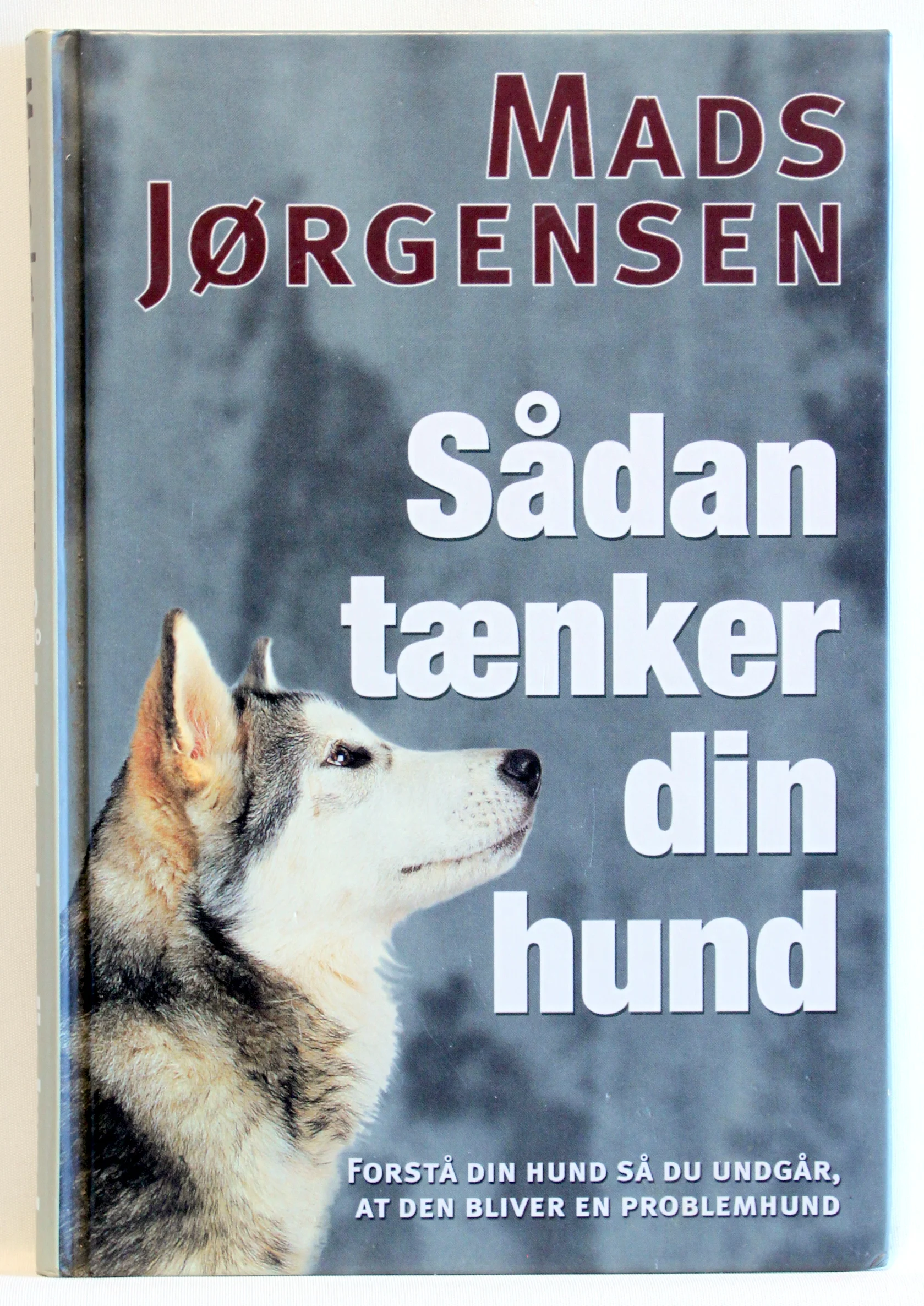 Sådan tænker din hund