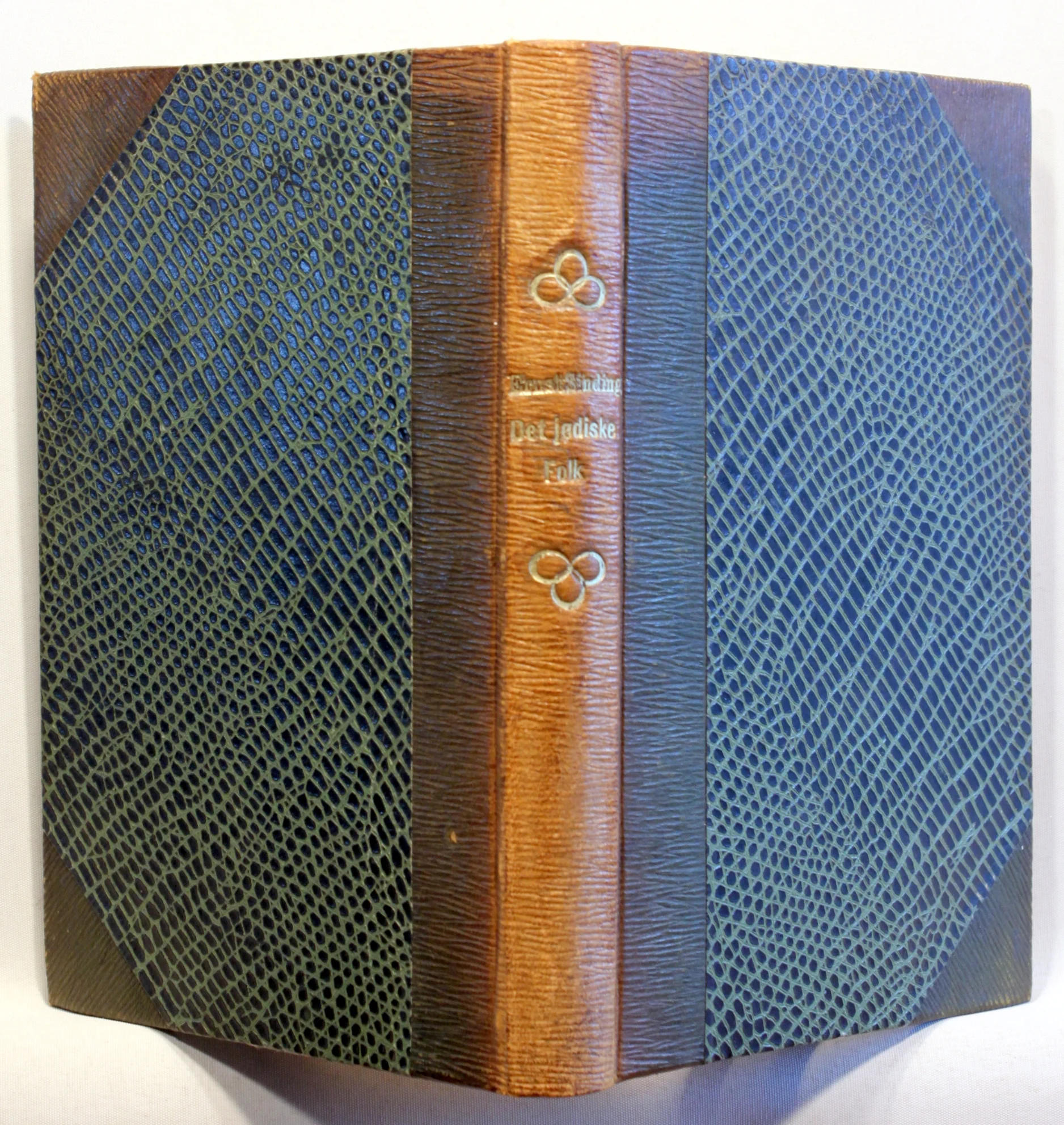 Det jødiske folk. Trekk av dets kultur og stilling i vårt samfund