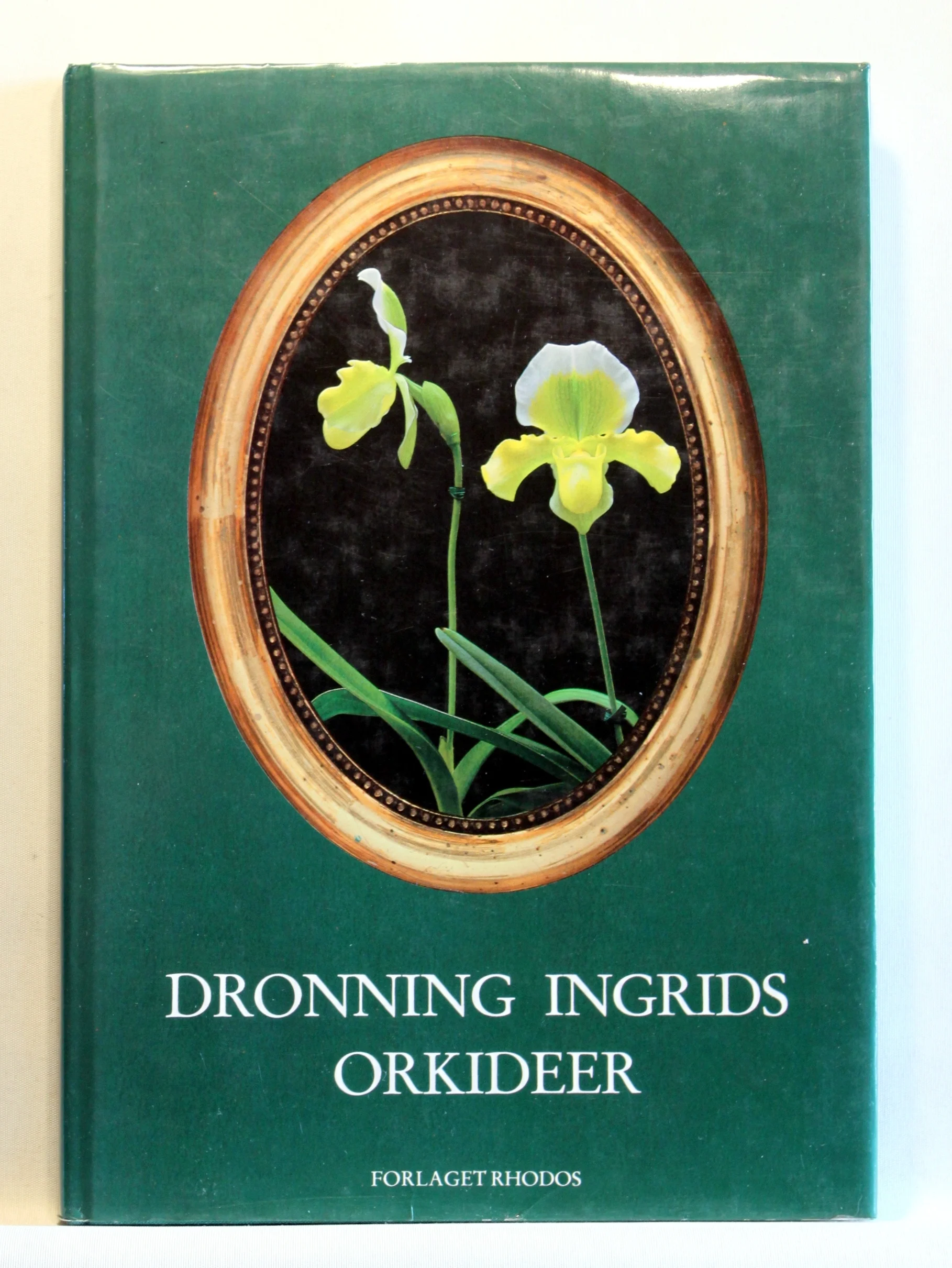 Dronning ingrids orkideer