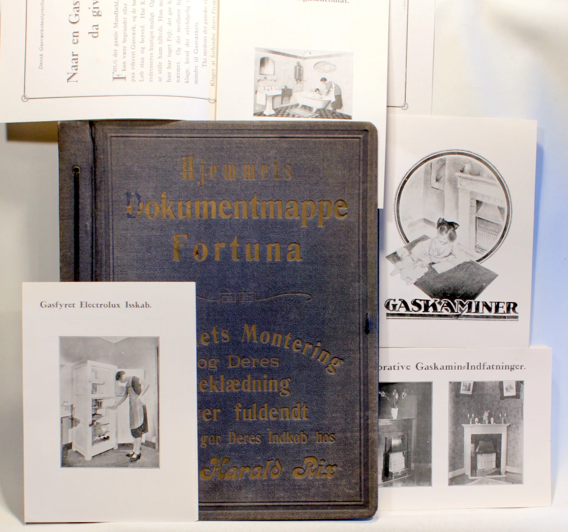 Hjemmets Dokumentmappe Fortuna