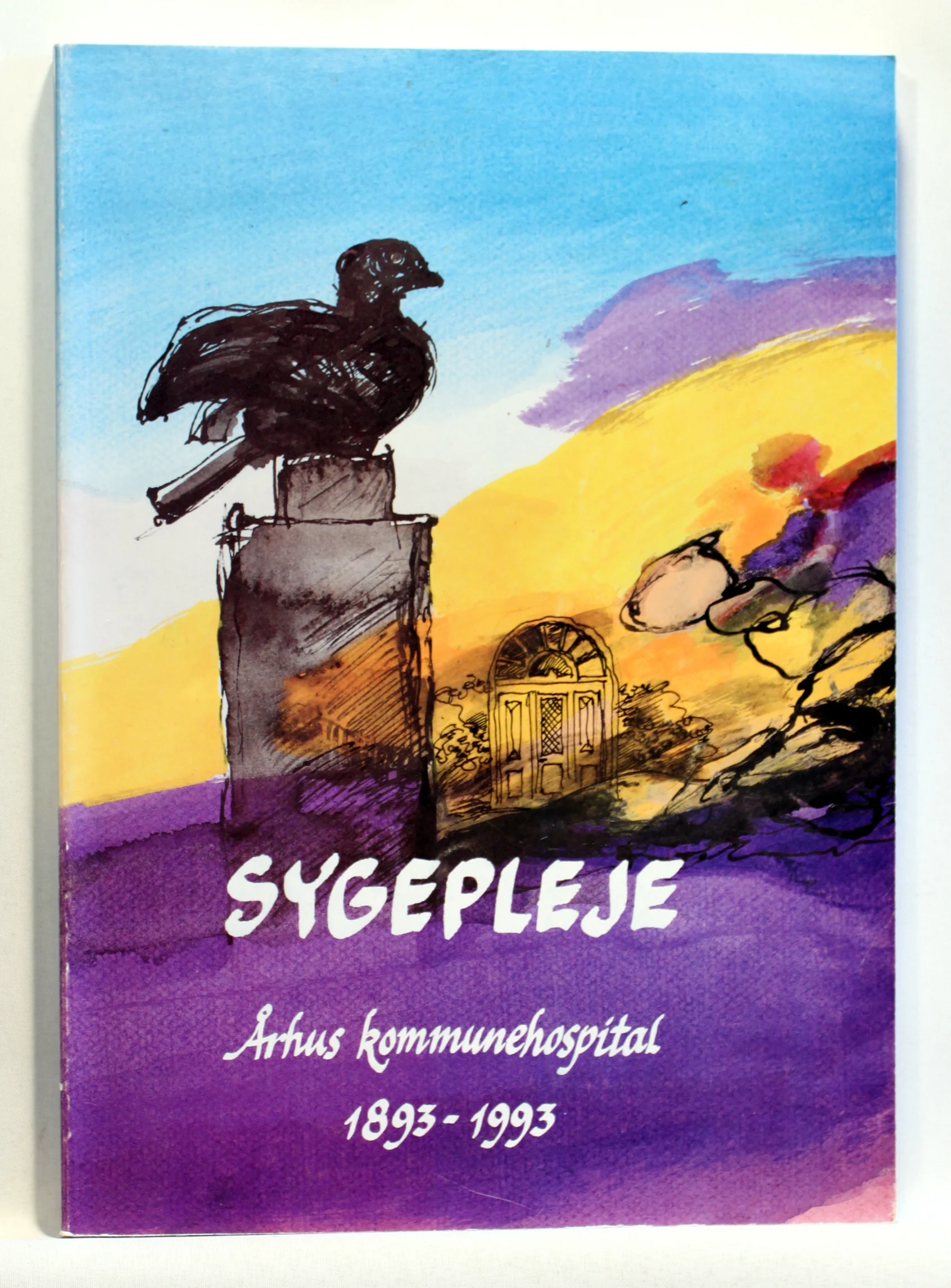 Sygepleje. Århus Kommunehospital 1893-1993