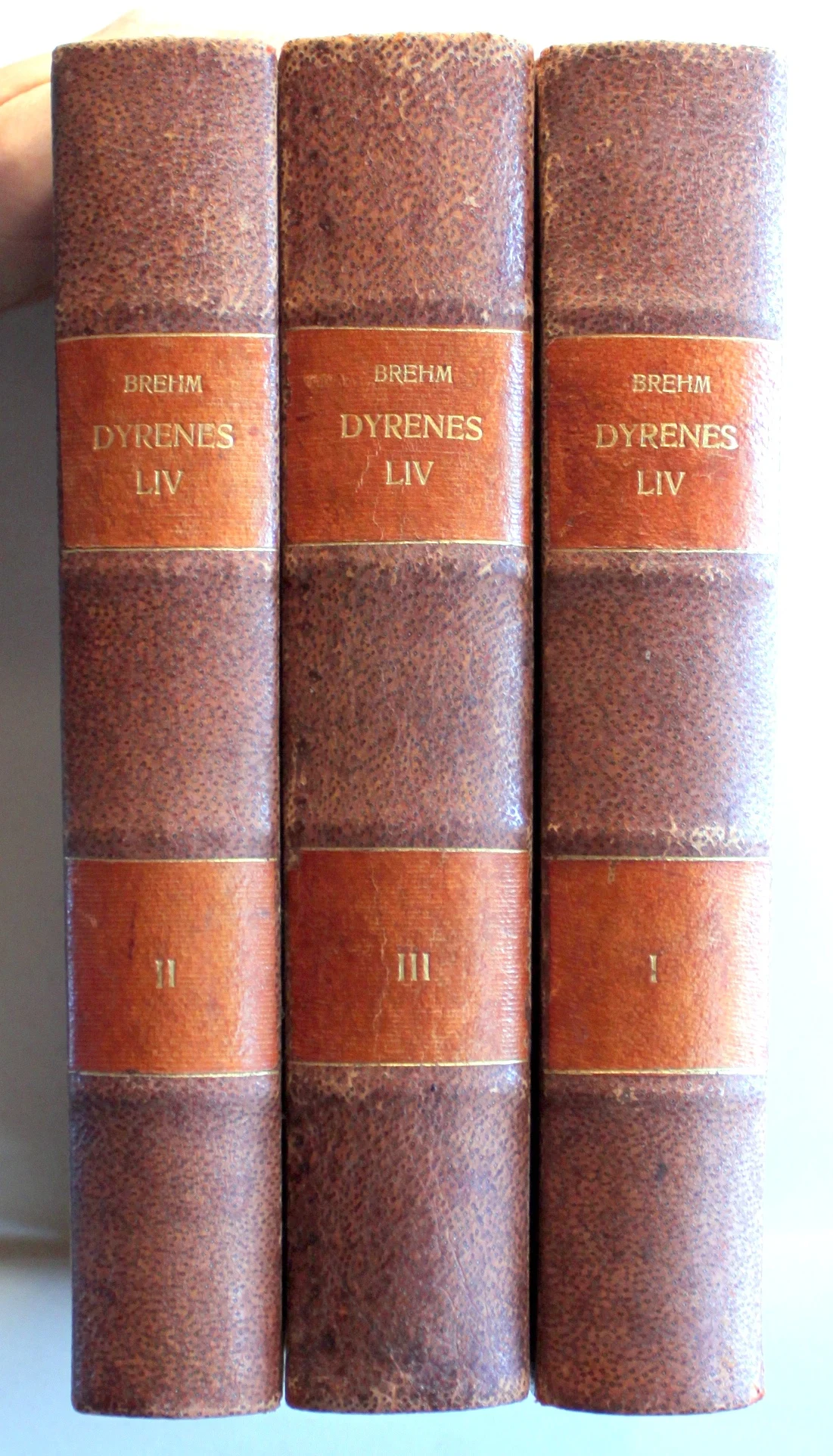 Dyrenes liv – Bind I-III