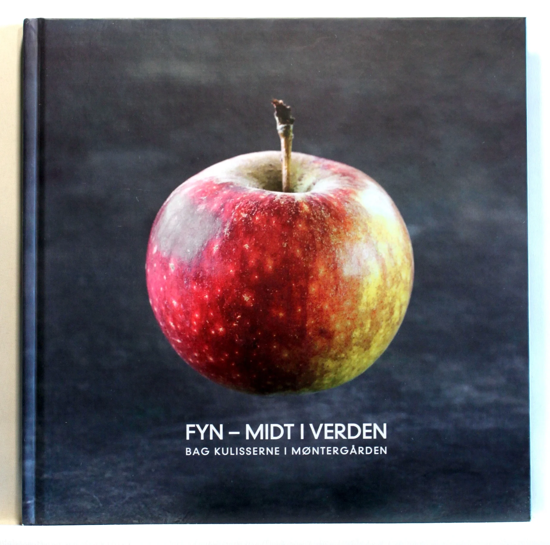 Fyn – midt i verden. Bag kulisserne i Møntergården