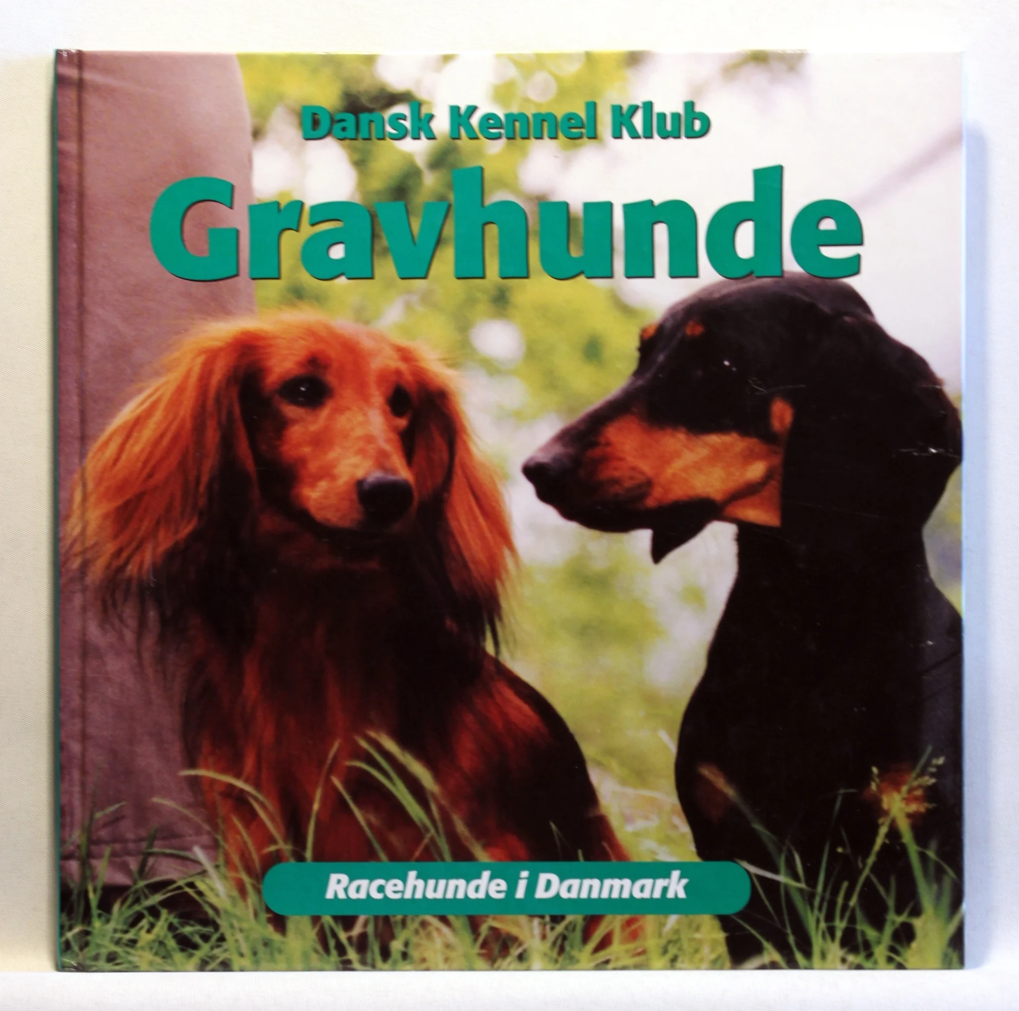 Gravhunde