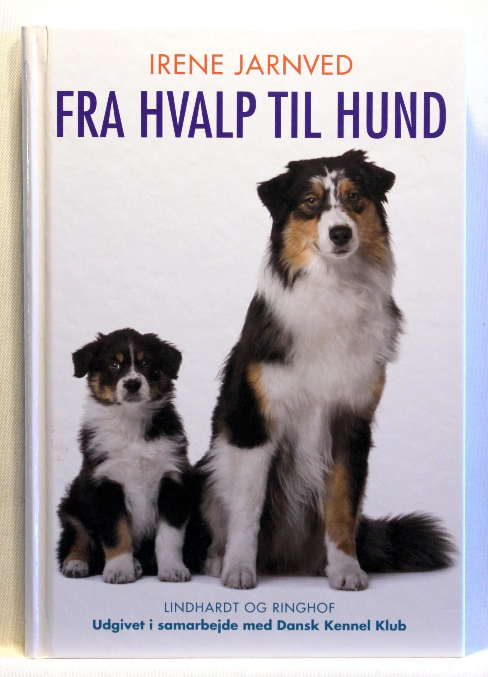 Fra hvalp til hund
