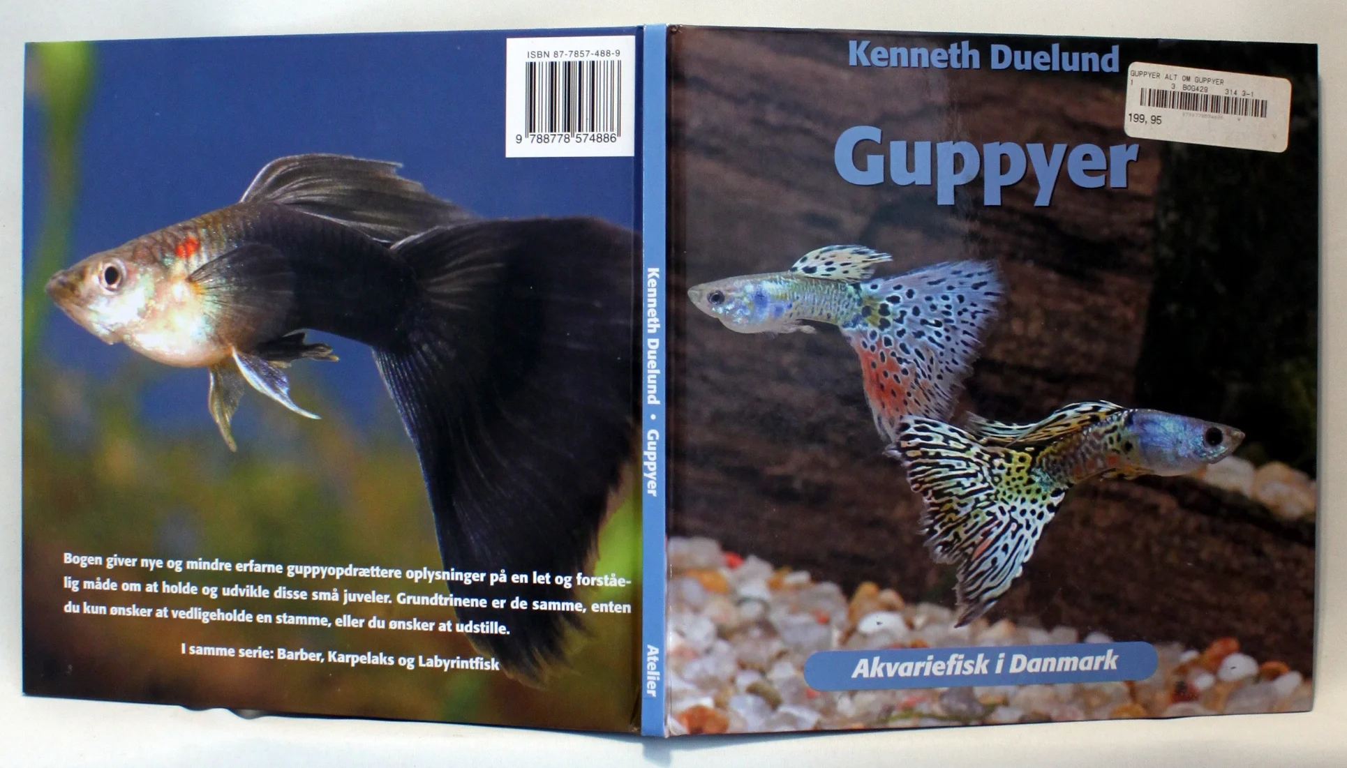 Guppyer – Akvariefisk i Danmark
