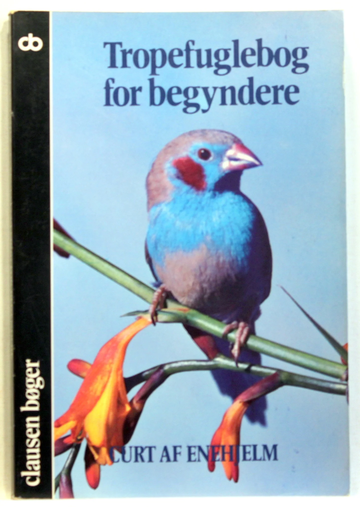 Tropefuglebog for begyndere