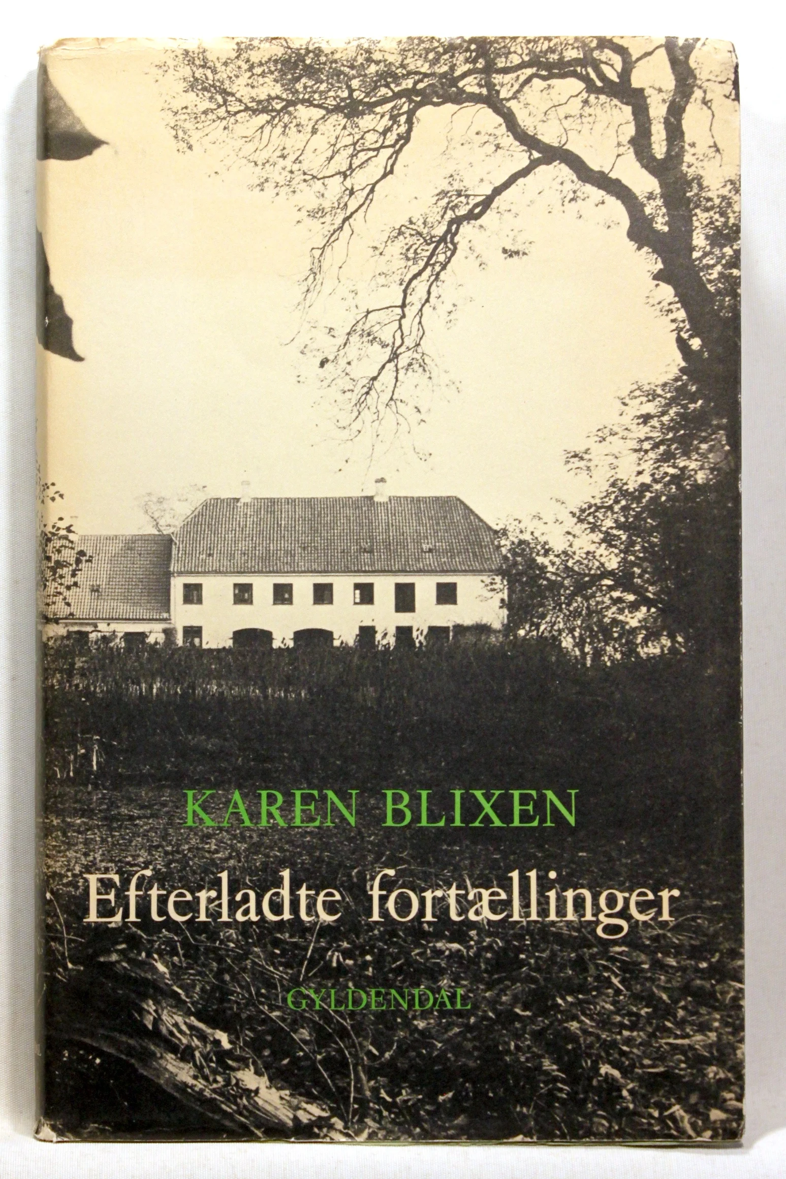 Efterladte fortællinger