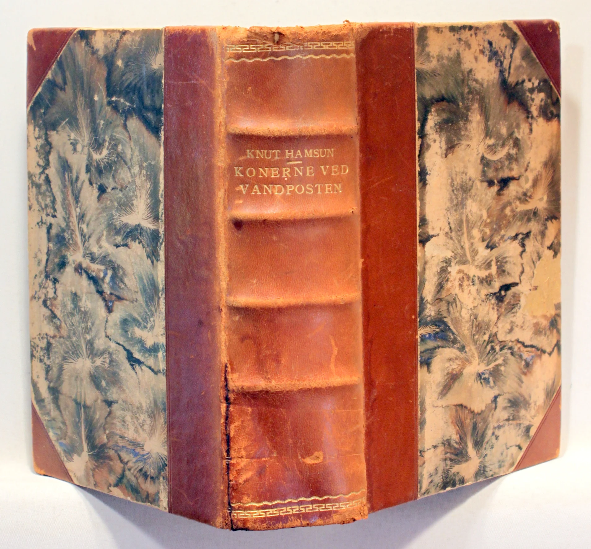 Konerne ved vandposten. Bind 1+2 i ét bind.