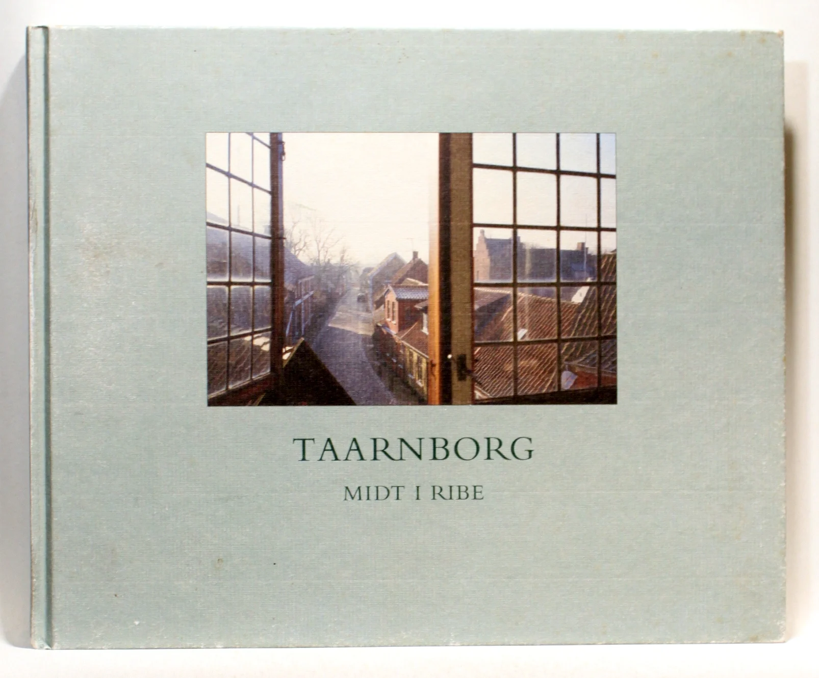 Taarnborg midt i Ribe