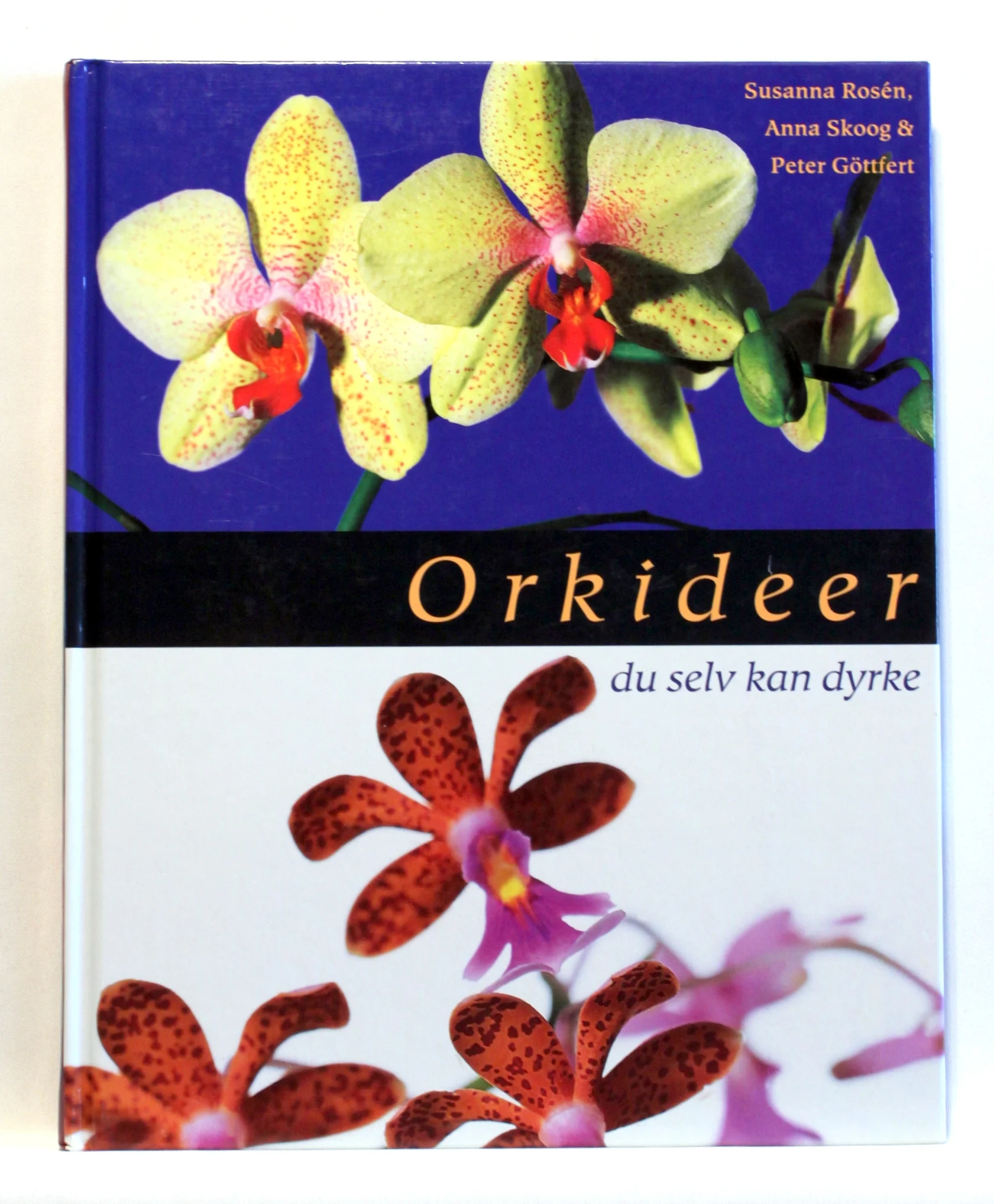 Orkideer du selv kan dyrke