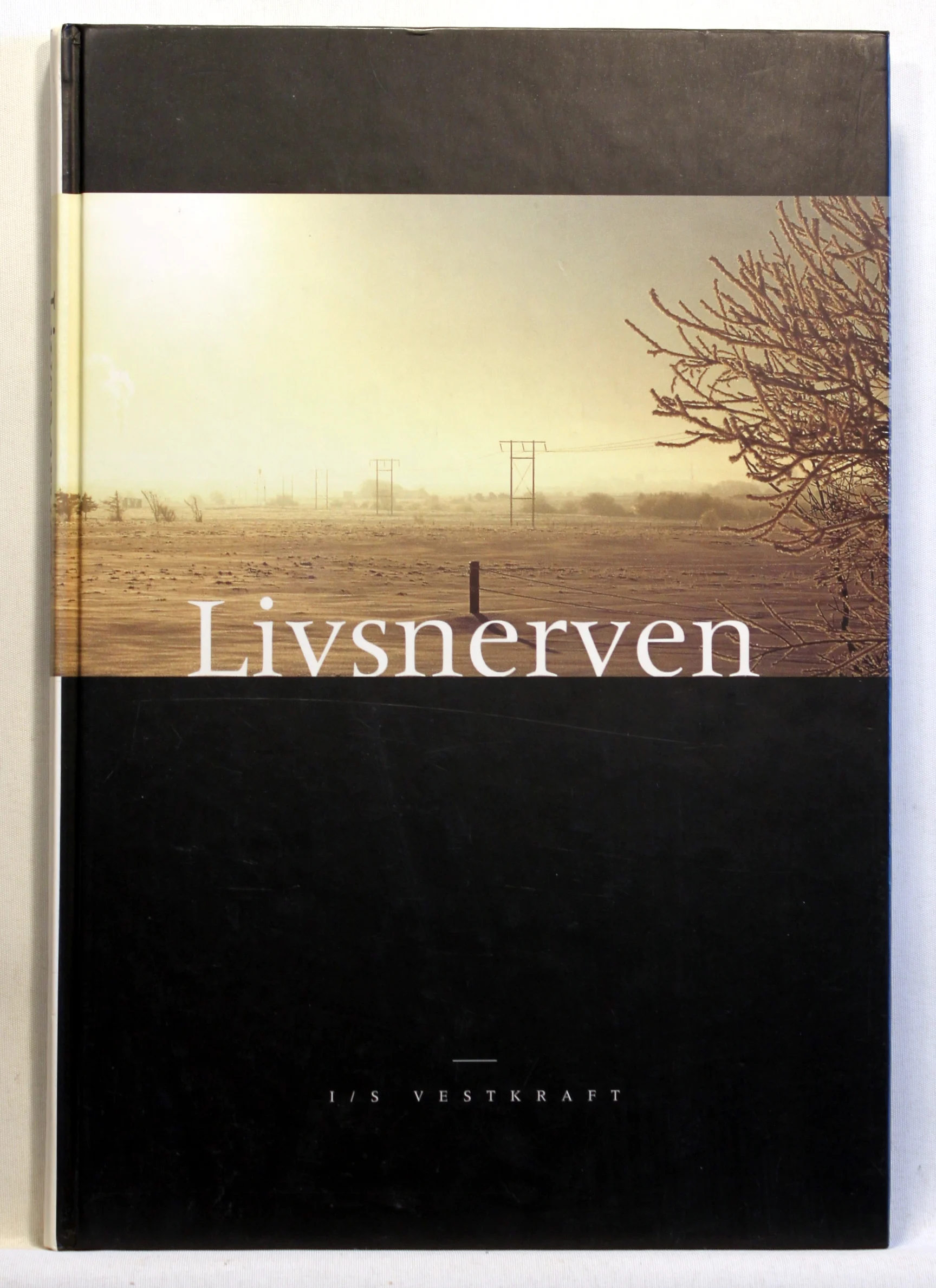 Livsnerven