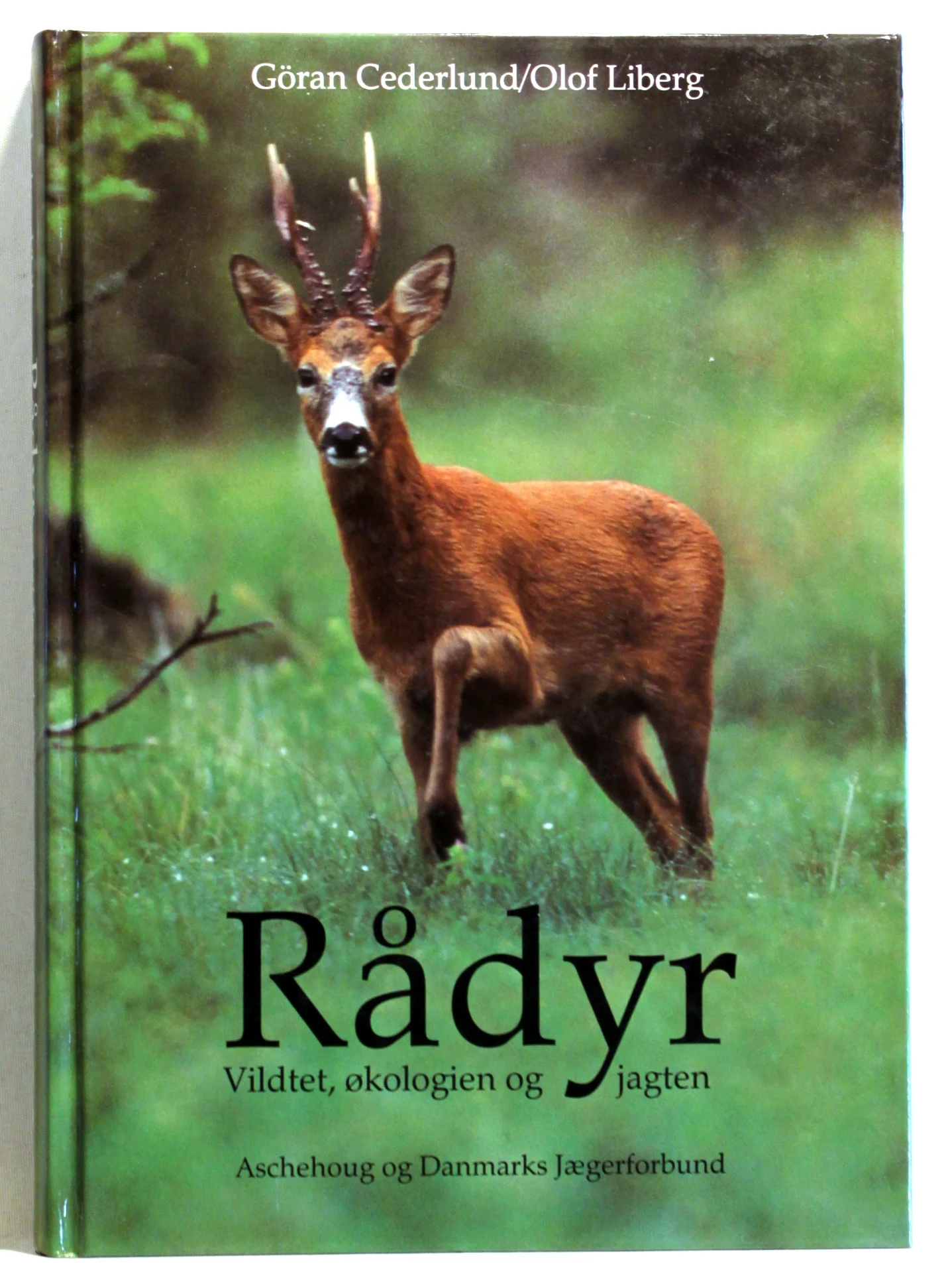 Rådyr. Vildtet, økologien og jagten