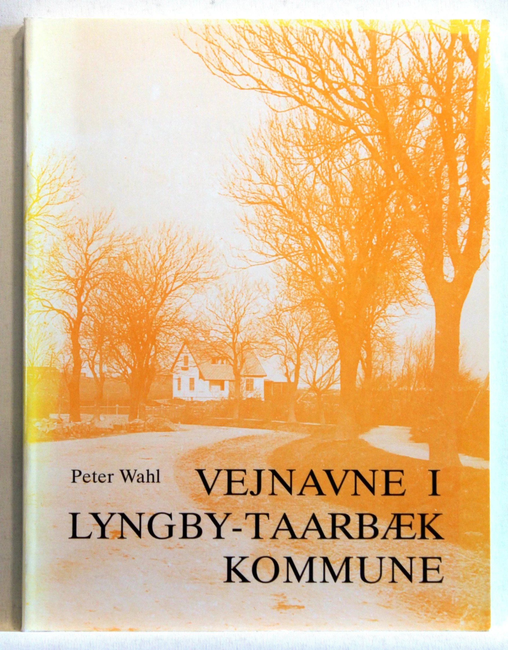 vejnavne i Lyngby-Taarbæk Kommune