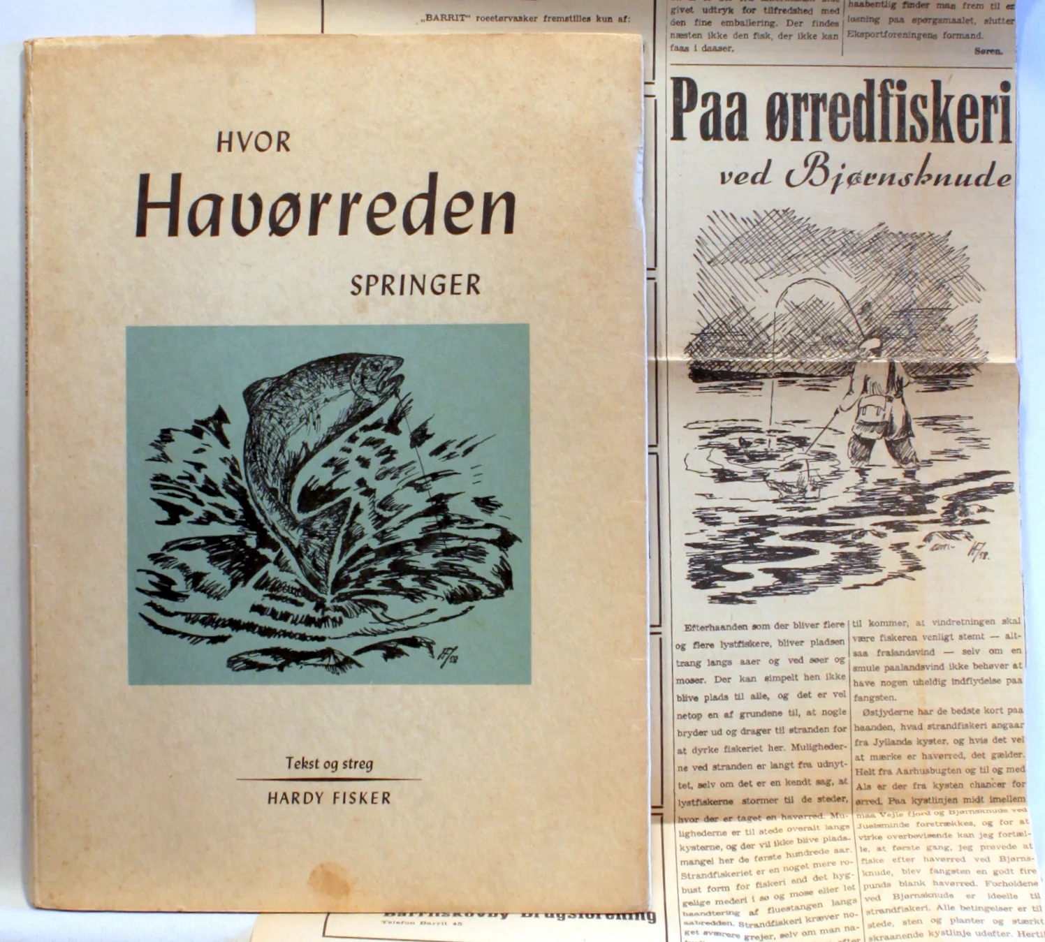 Hvor Havørreden springer