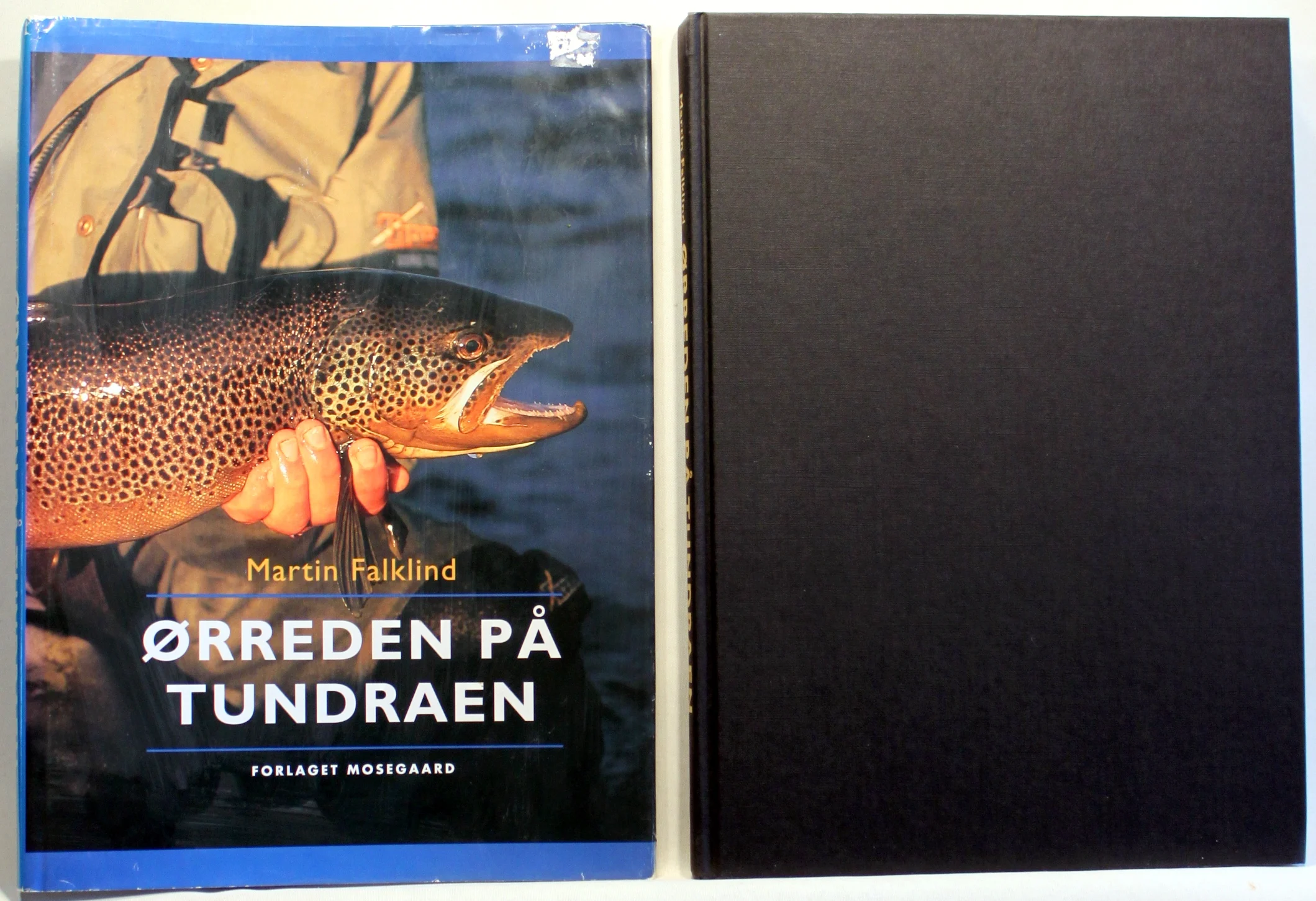 Ørreden på tundraen