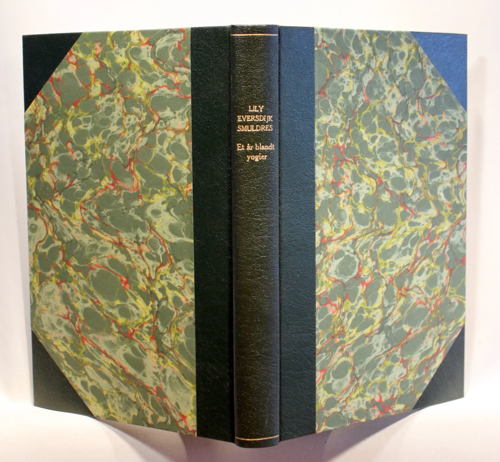 Et år blandt yogier i Indien og Tibet