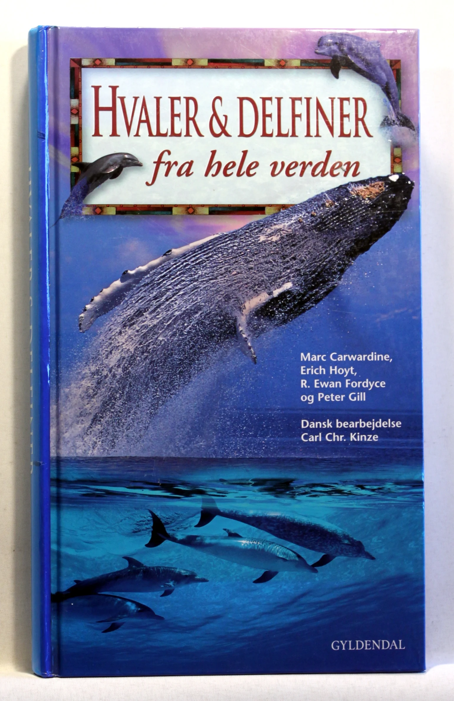 Hvaler & delfiner fra hele verden