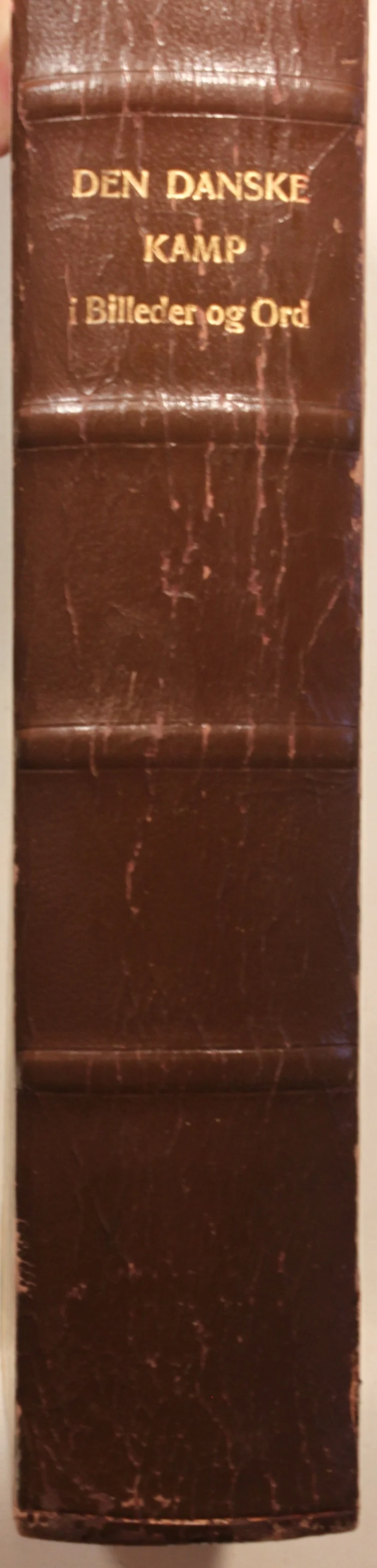 Den danske Kamp i Billeder og Ord