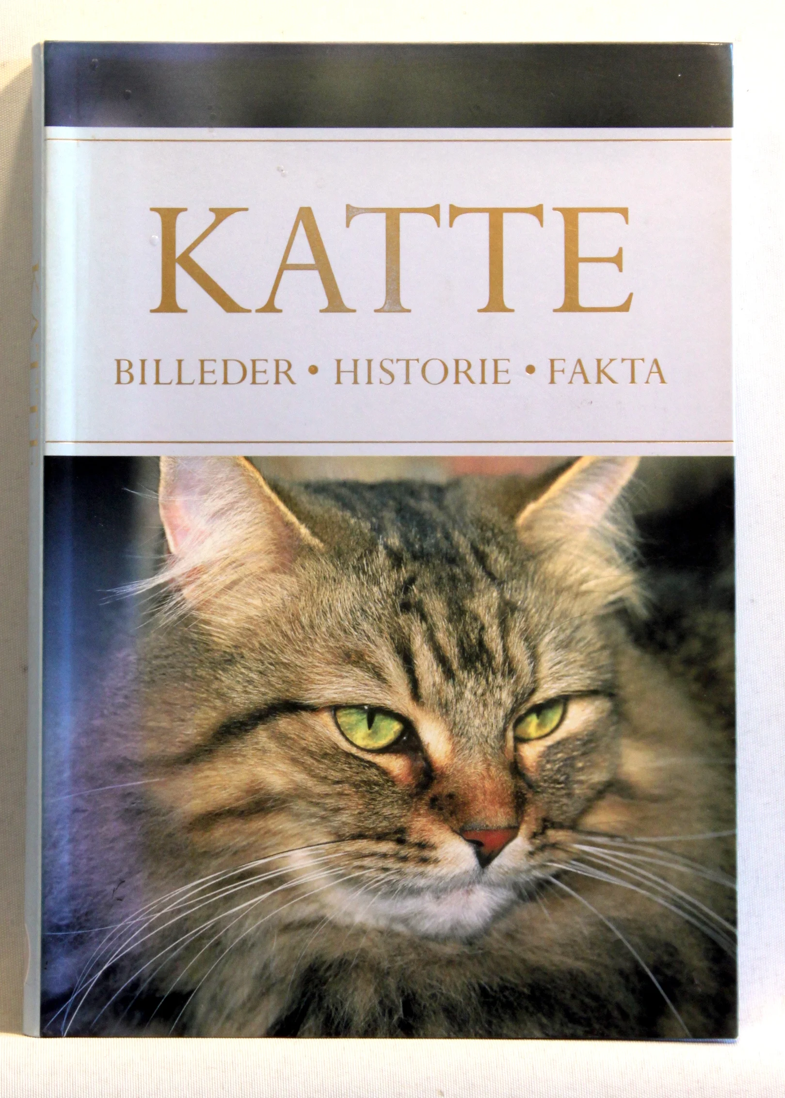Katte. Billeder. Historie. Fakta