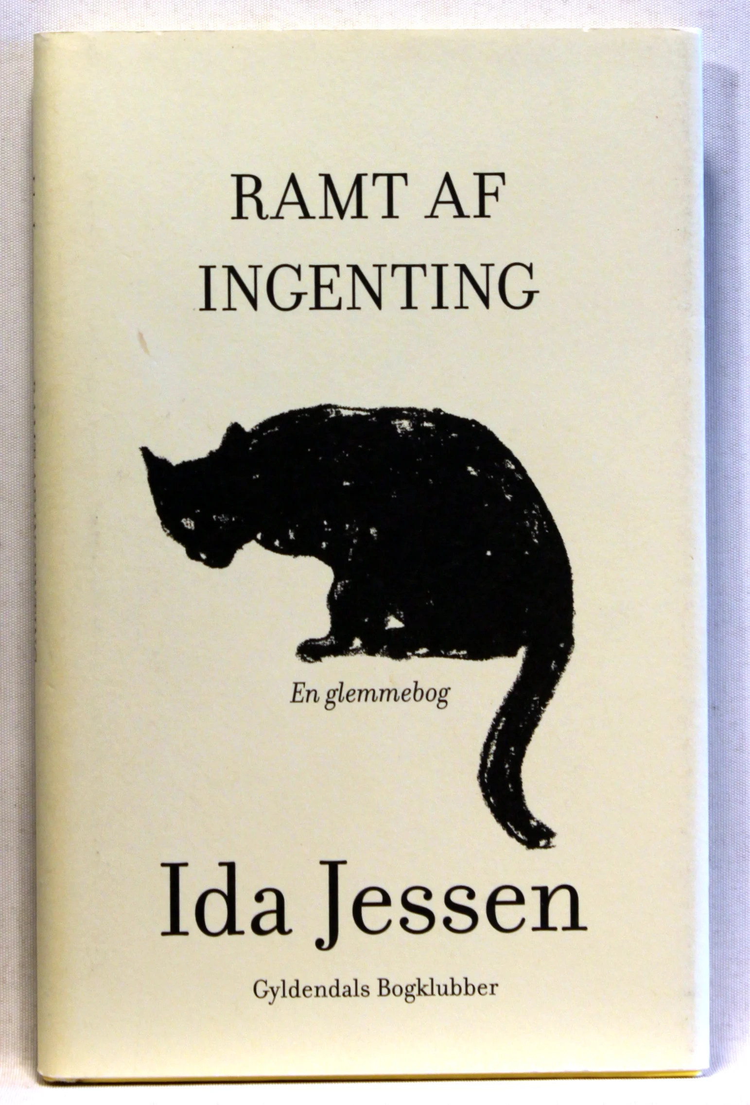 Ramt af ingenting. En glemmebog