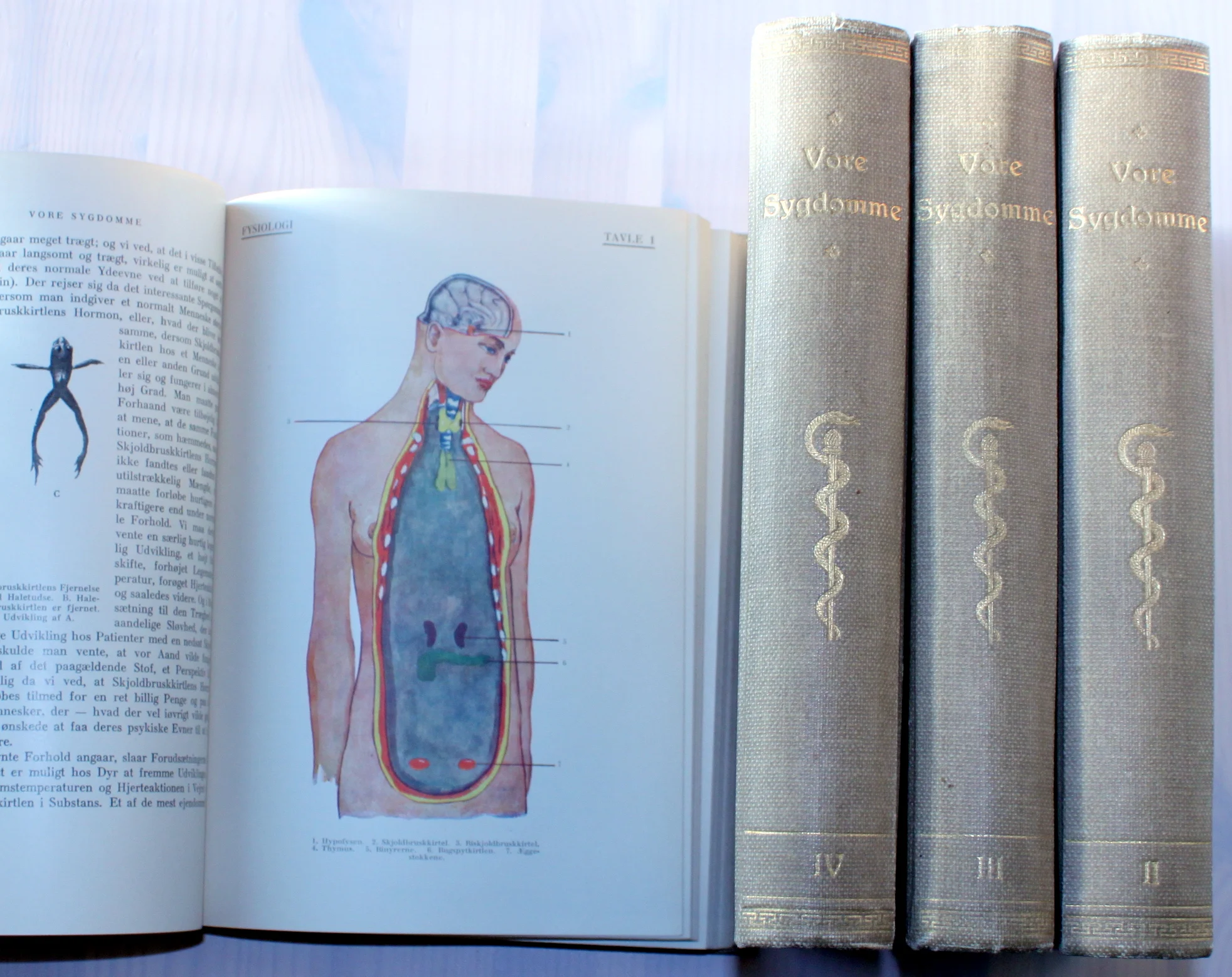 Vore sygdomme. Deres oprindelse og væsen i almenfattelig fremstilling. 4 Bind