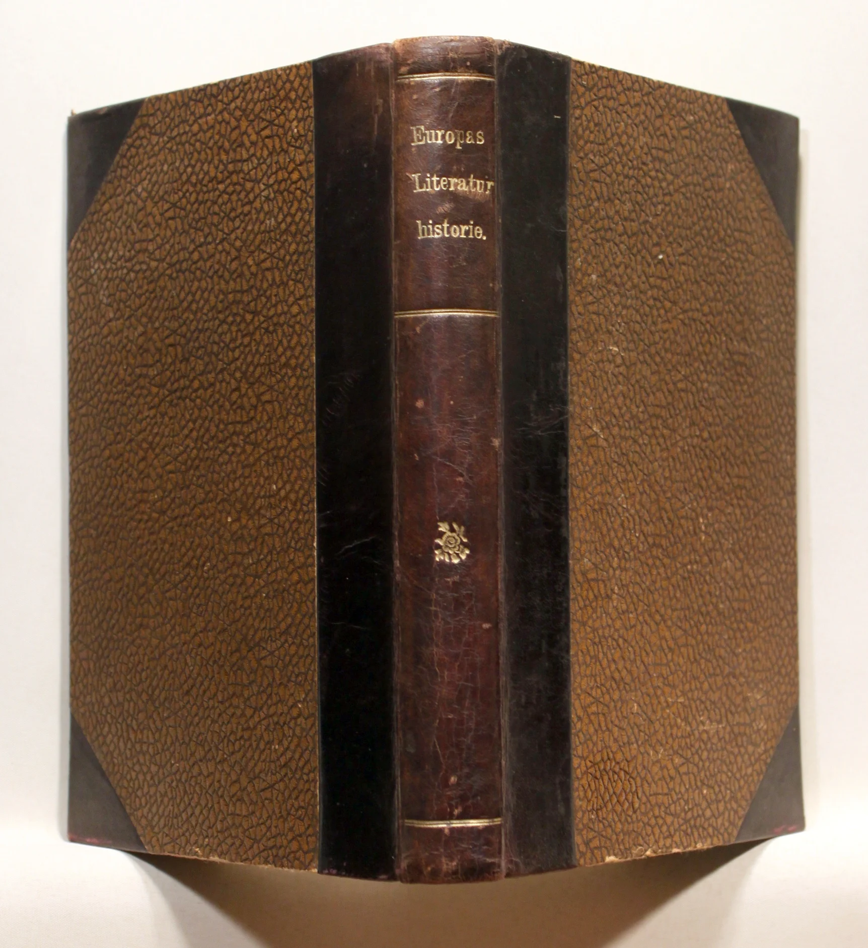 Europas Litteraturhistorie. I det 19de Aarhundrede. Grundlinier og Hovedværker