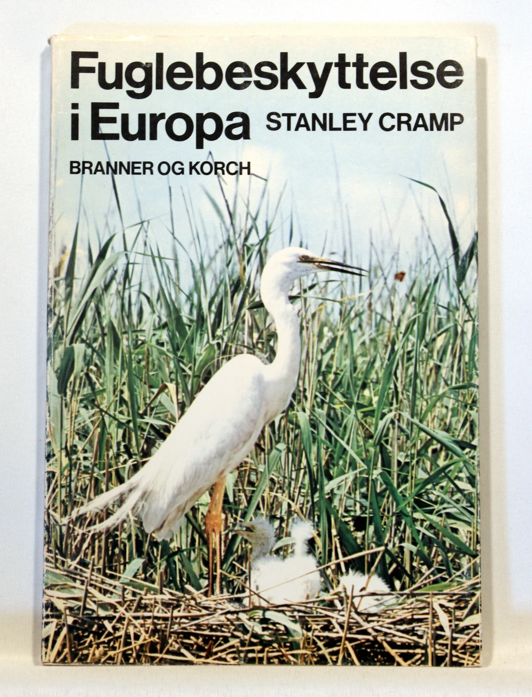 Fuglebeskyttelse i Europa