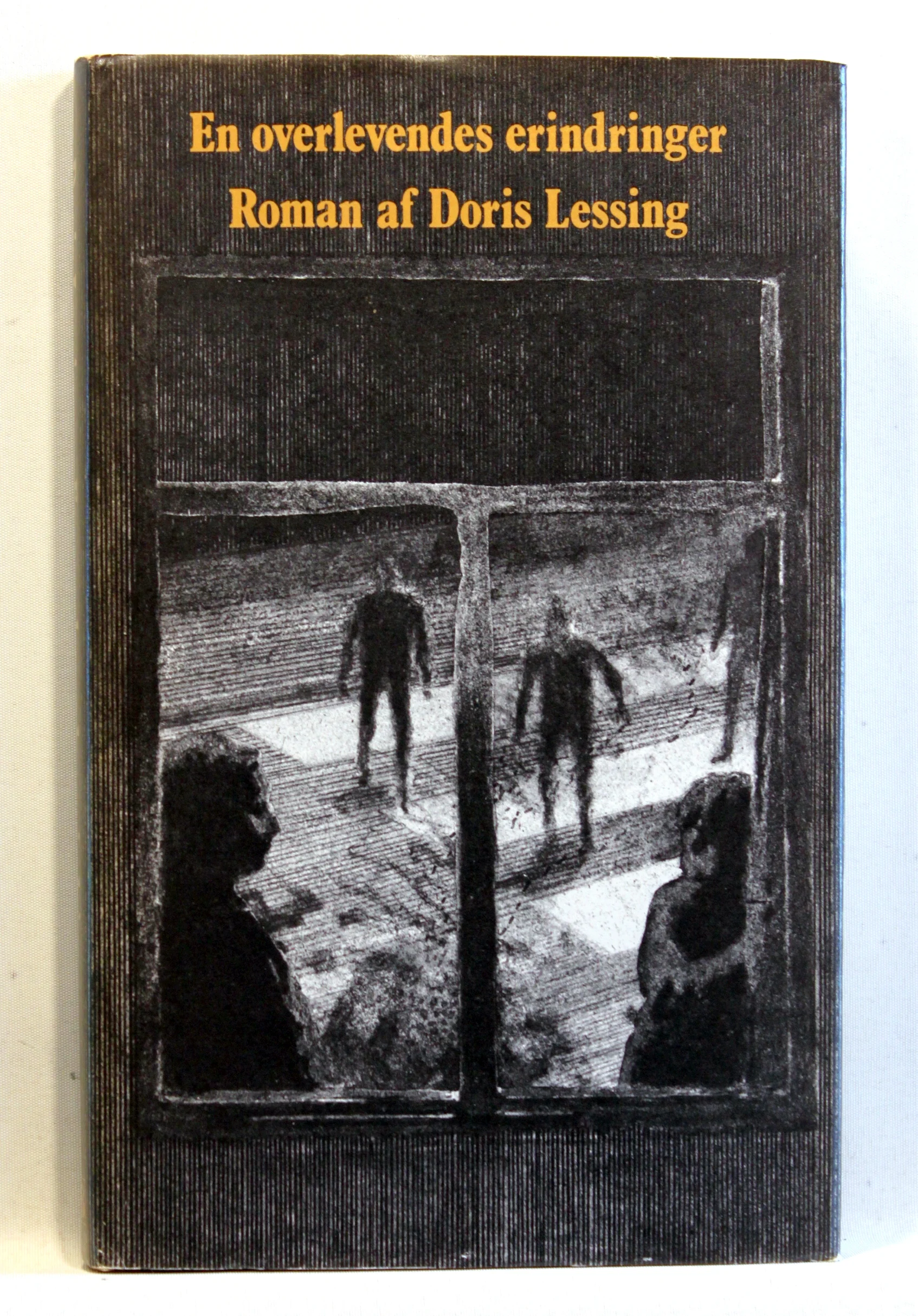 En overlevendes erindringer