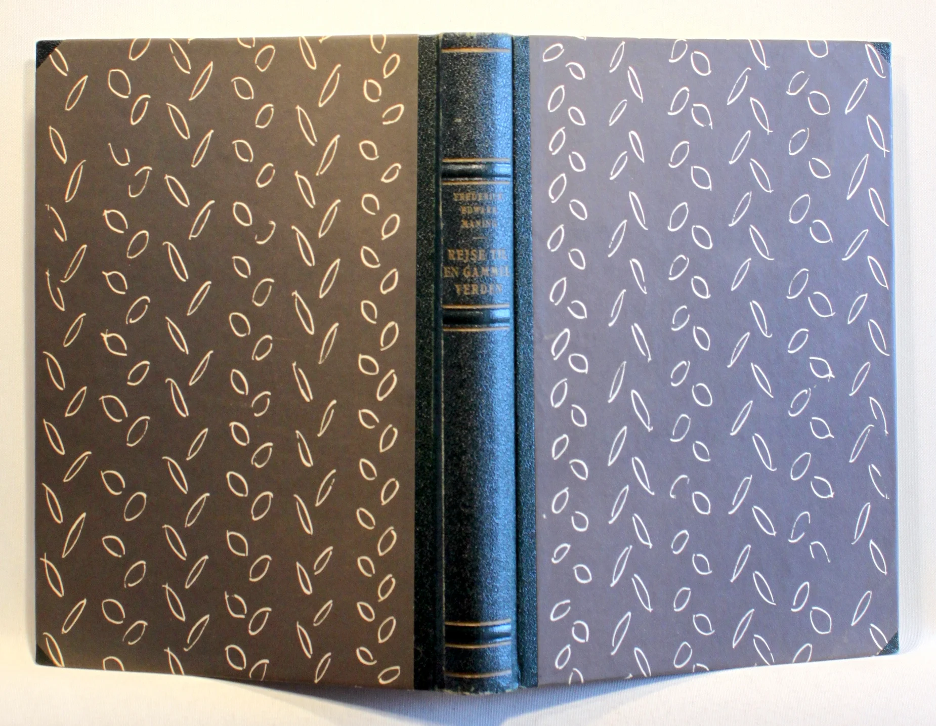 Rejse til en gammel verden