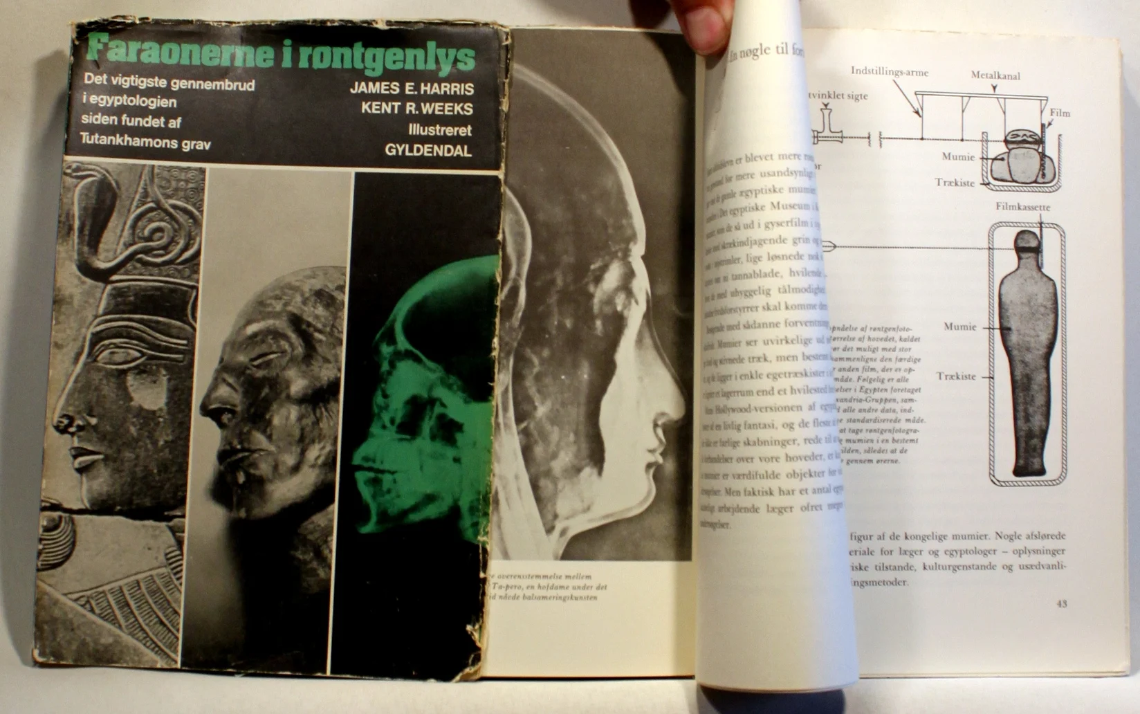 Faraonerne i røntgenlys
