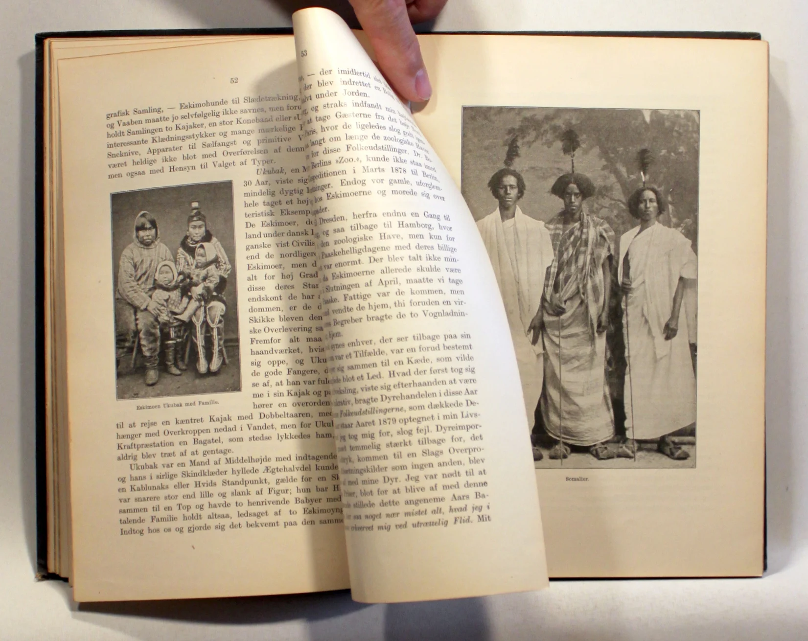 Dyr og mennesker – oplevelser og erfaringer