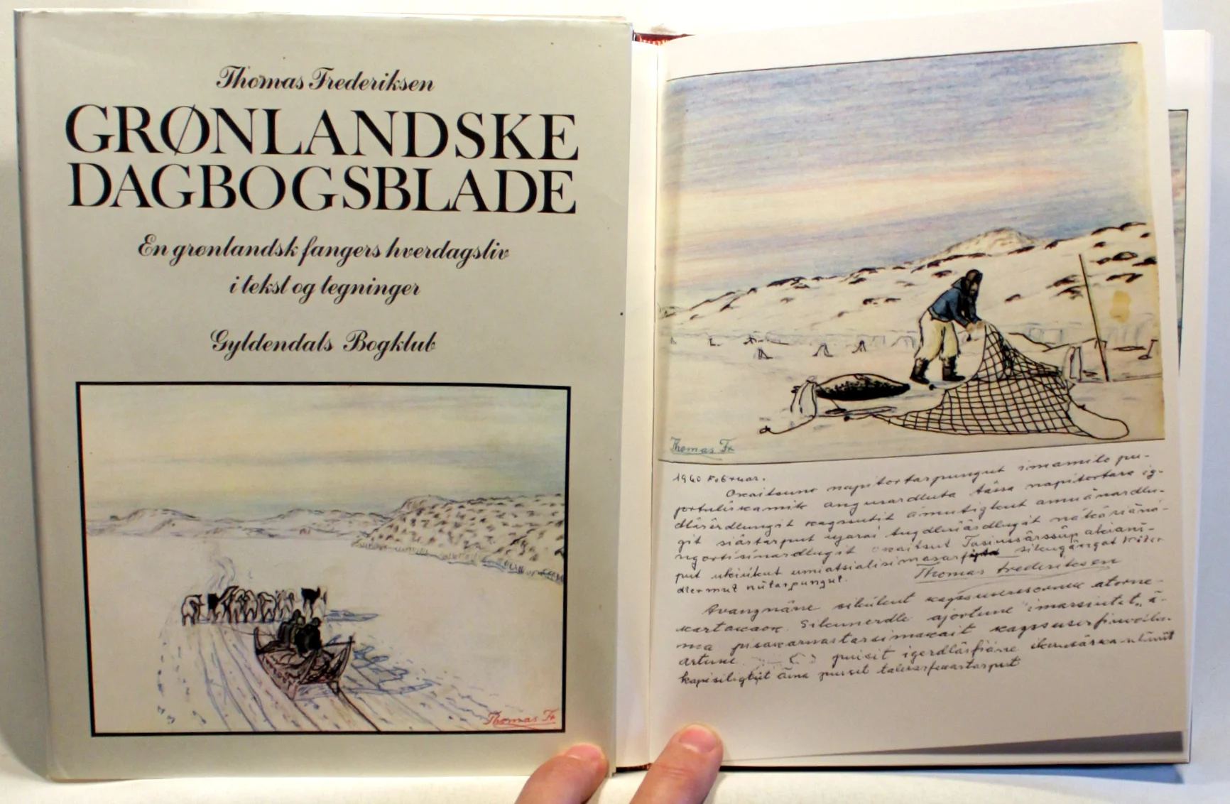 Grønlandske dagbogsblade