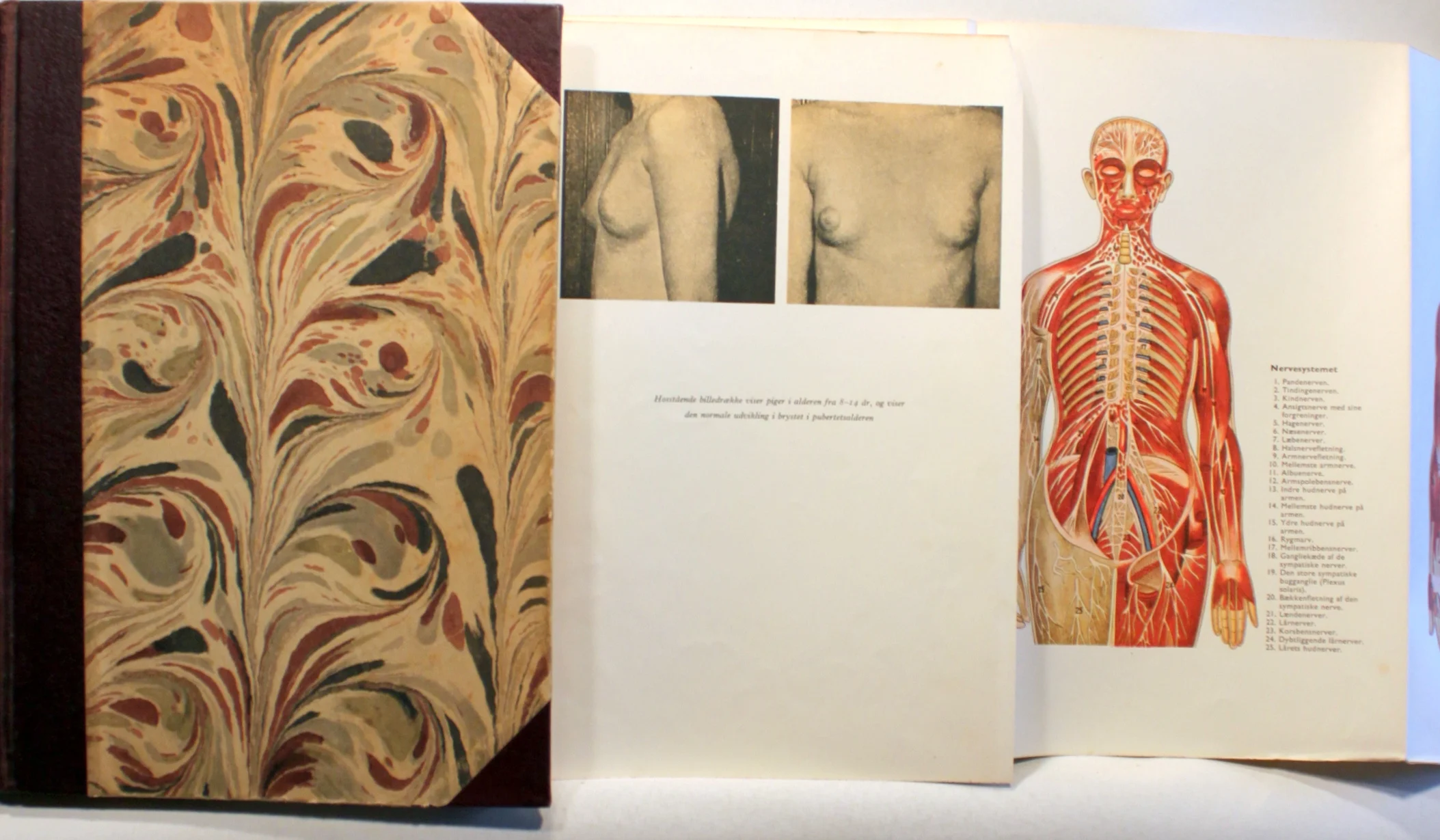 Lægebog for kvinder. Kvinde, giv agt