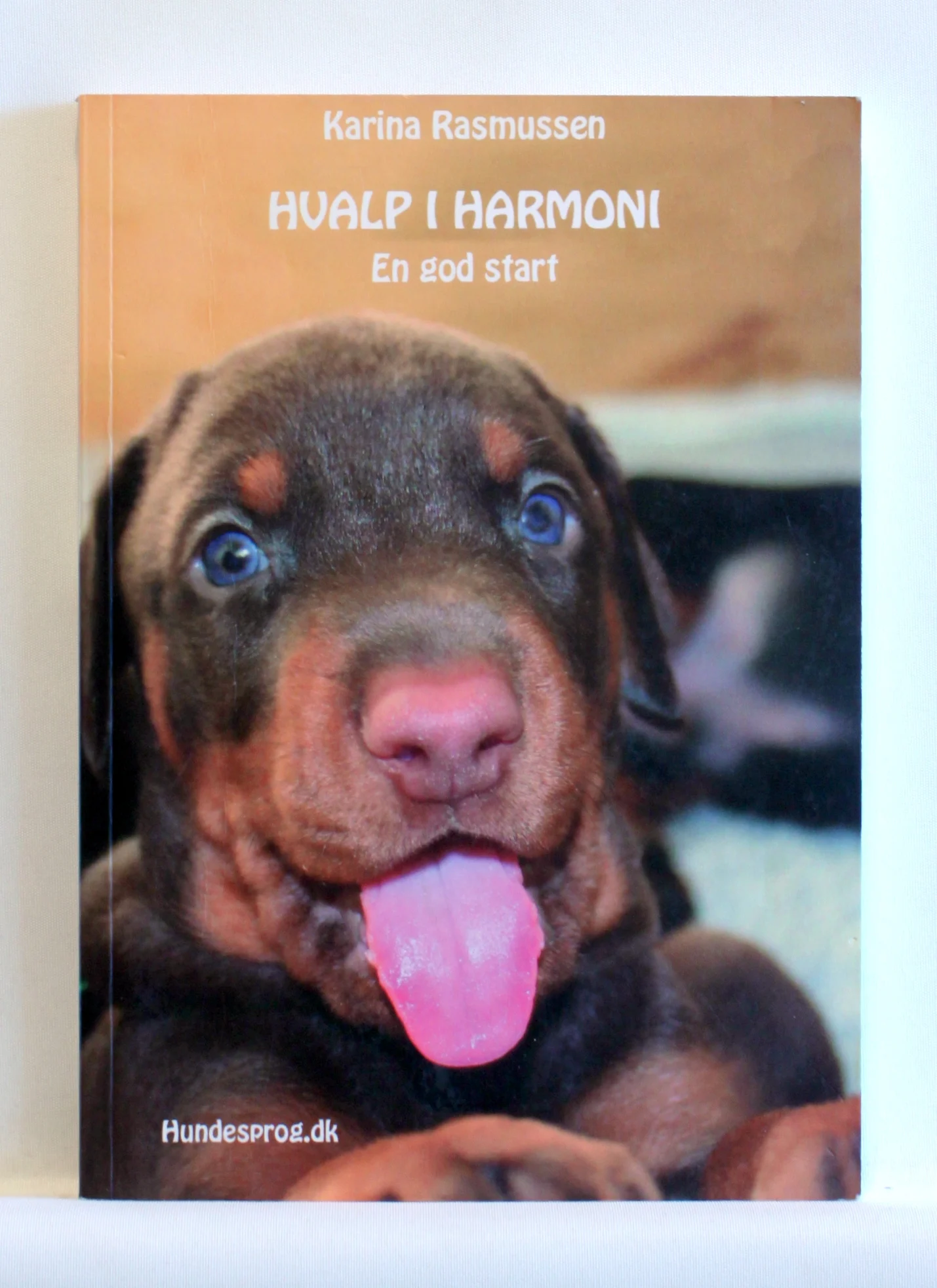 Hvalp i harmoni. En god start