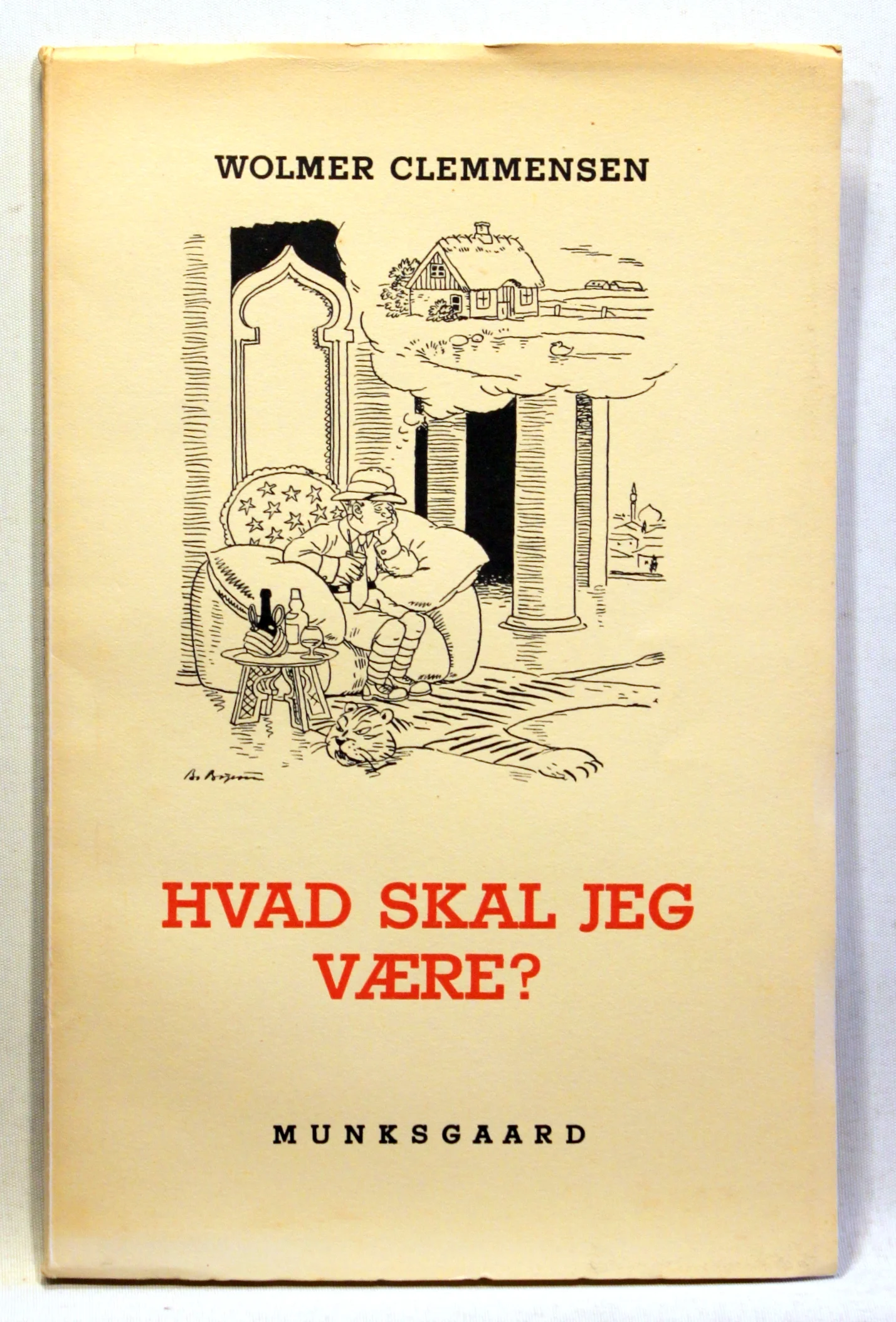 Hvad skal jeg være? Og hvordan kommer jeg frem?